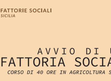 Da Fattorie sociali Sicilia: “Avvio di una fattoria sociale” Corso in agricoltura sociale
