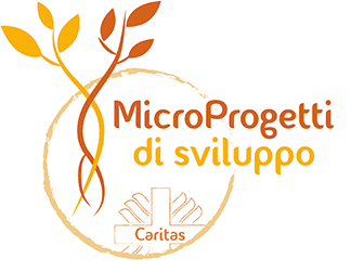 Presentazione di MicroProgetti di sviluppo alla Caritas
