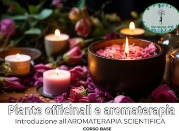 Piante officinali e aromaterapia, il corso promosso da MenteCorpo APS