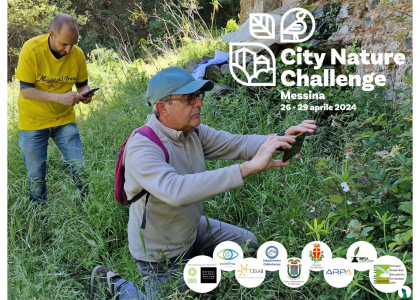 Dal 26 al 29 aprile 2024 torna la City Nature Challenge (CNC)