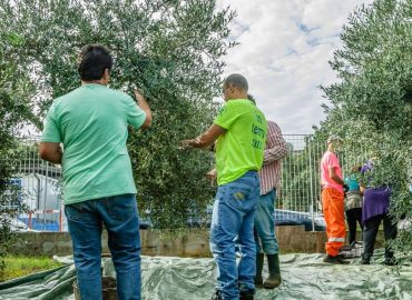 Politiche sociali, finanziati in Sicilia 73 progetti di volontariato