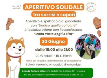 Aperitivo solidale “Dalla parte degli Akita” lunedì 30 giugno a Messina