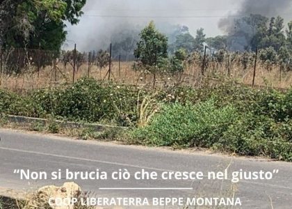 Libera: al via la campagna “Sostieni le cooperative che resistono”