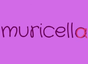 Messina, il “Laboratorio delle parole” martedì 10 nello Spazio Muricella