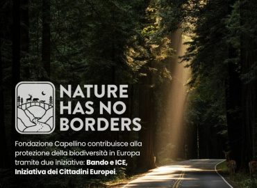 Bando Fondazione Capellino: “Sostenere la biodiversità attraverso soluzioni concrete”
