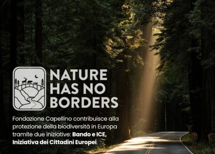Bando Fondazione Capellino: “Sostenere la biodiversità attraverso soluzioni concrete”